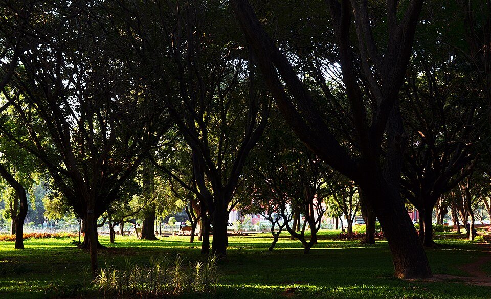 Cubbon Park