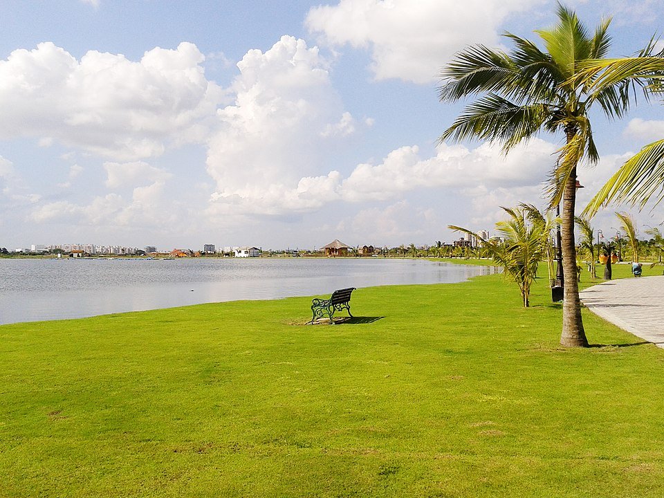 Eco Park